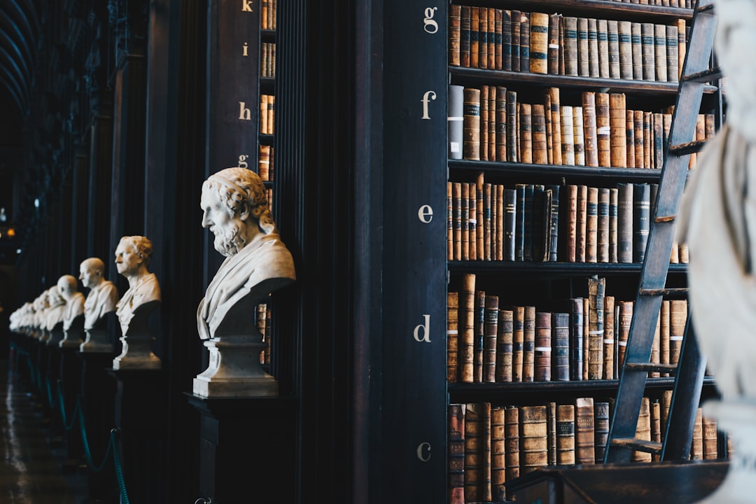 The Role of Expert Witnesses in Strengthening Your Case