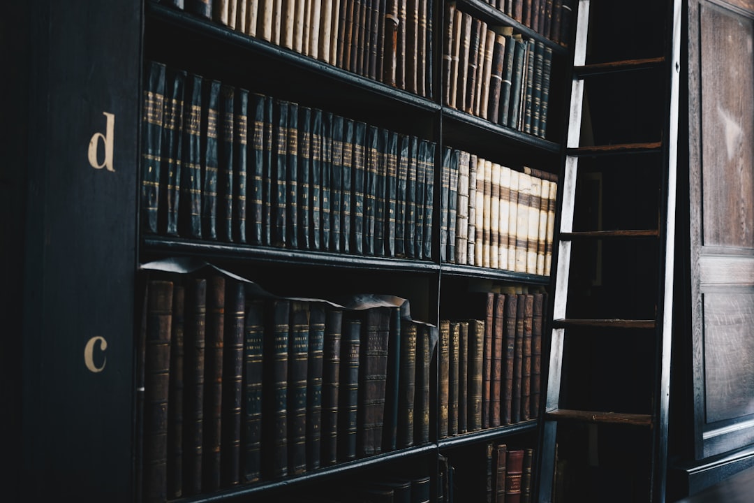 How Much Does It Cost to Hire a Car Accident Lawyer in Citrus Heights?